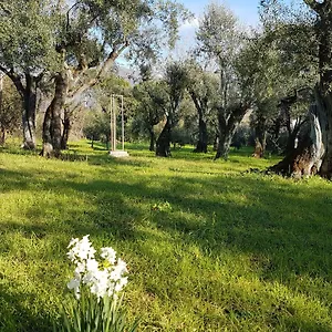 Casa di campagna Antico Uliveto, Seravezza